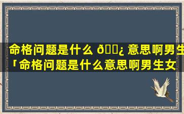 命格问题是什么 🌿 意思啊男生「命格问题是什么意思啊男生女 ☘ 生」